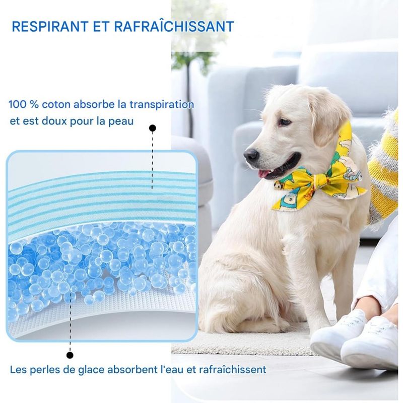 Pet Planet Collier Rafraîchissant Pour Chien 5 X 100 Cm 2 Pièces Plein Air