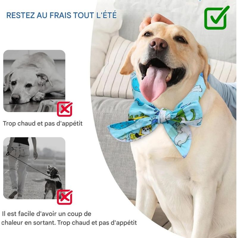 Pet Planet Collier Rafraîchissant Pour Chien 5 X 100 Cm 2 Pièces Plein Air