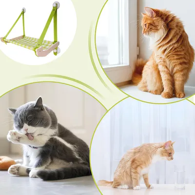 Meubles et accessoires pour chat - Hamac, étagères pliables