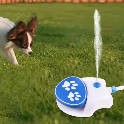 Pet Planet Fontaine Pour Chien Activée Par Pattes Avec Tuyau