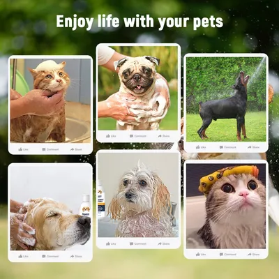 IntiMeg Shampooing neutre pour chien et chat