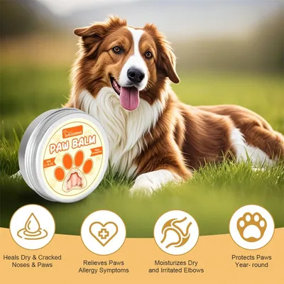 IntiMeg Crème de soin pour la peau des chats et des chiens