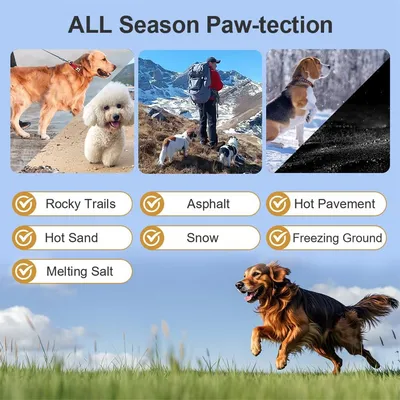 IntiMeg Crème de soin pour la peau des chats et des chiens