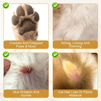 IntiMeg Crème de soin pour la peau des chats et des chiens