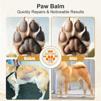 IntiMeg Crème de soin pour la peau des chats et des chiens