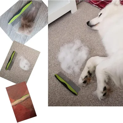 Petopia Peigne de toilettage pour chiens et chats