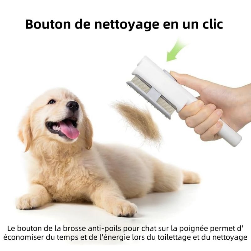 Pet Planet Lot de 2 Peignes de Toilettage Pour Chat