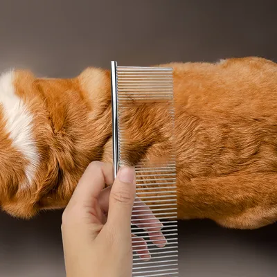 FurryFusion Hunde- und Katzenpflegekamm