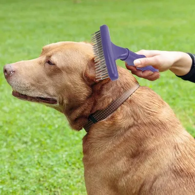 Petopia Râteau de toilettage pour chien et chat