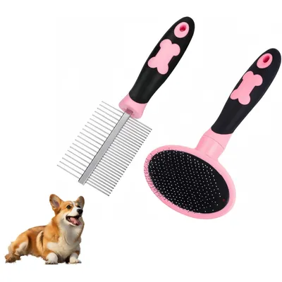 Pet Planet Kit de Brosse et Peigne de Toilettage Pour Chien à Poils Longs