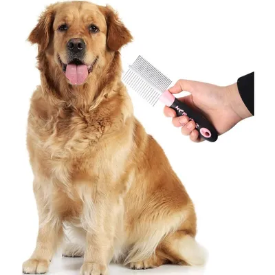 Pet Planet Kit de Brosse et Peigne de Toilettage Pour Chien à Poils Longs