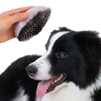 Petopia Brosse de bain pour chien et chat
