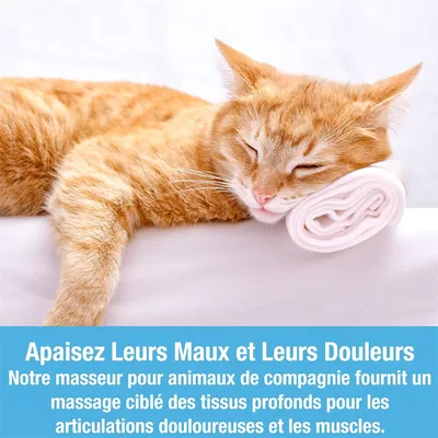 IntiMeg Appareil de massage pour chien et chat