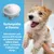IntiMeg Appareil de massage pour chien et chat