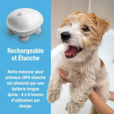 IntiMeg Appareil de massage pour chien et chat