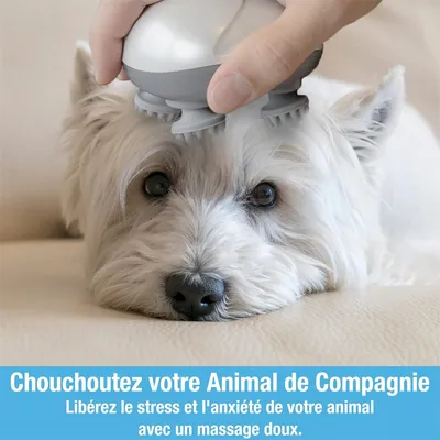 IntiMeg Appareil de massage pour chien et chat