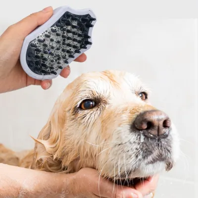Petopia Brosse de bain pour chien et chat