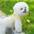 IntiMeg Harnais de pour petit chien