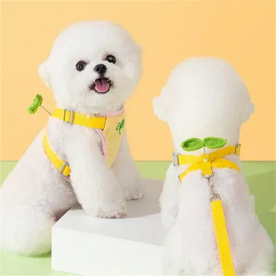 IntiMeg Harnais de pour petit chien