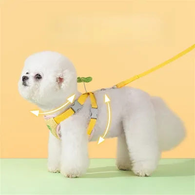 IntiMeg Harnais de pour petit chien