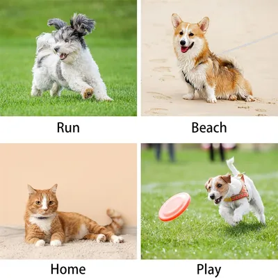 IntiMeg Harnais de pour petit chien