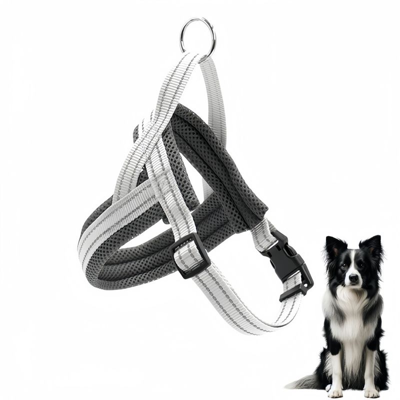 FurryFusion Harnais pour chien style selle