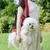 Petopia sangle portable pour chiens et chats（Taille M）