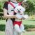 Petopia sangle portable pour chiens et chats（Taille M）