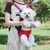 Petopia sangle portable pour chiens et chats（Taille M）