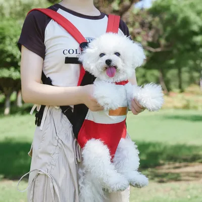 Petopia sangle portable pour chiens et chats（Taille M）