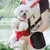 Petopia sangle portable pour chiens et chats（Taille M）