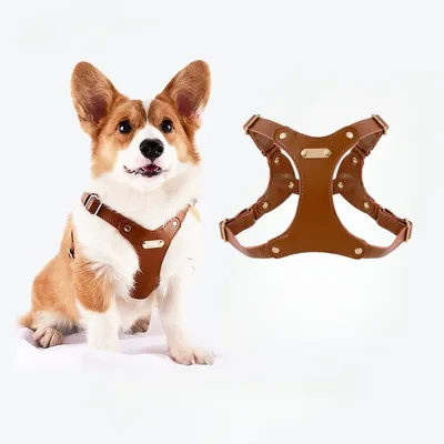 IntiMeg Harnais en cuir pour chien de petite et moyenne taille IntiMeg Harnais en cuir pour chien de petite et moyenne taille