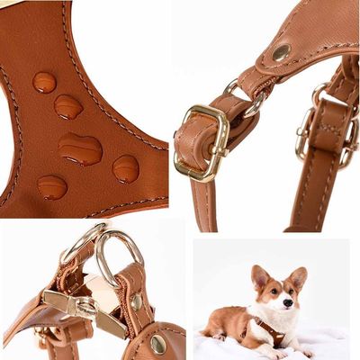 IntiMeg Harnais en cuir pour chien de petite et moyenne taille