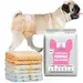 IntiMeg Couche pour chien