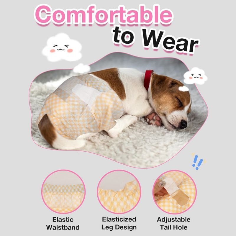 IntiMeg Couche pour chien