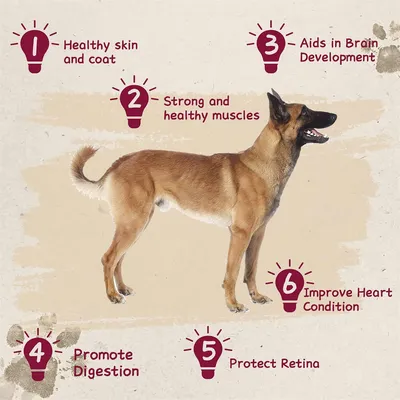 IntiMeg Friandises pour Chiens au Poulet et Canard