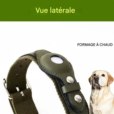 IntiMeg Collier AirTag pour chiens et chats