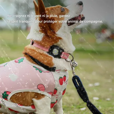 IntiMeg Collier pour Chien - Compatible Airtag Apple