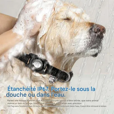 IntiMeg Collier pour Chien - Compatible Airtag Apple