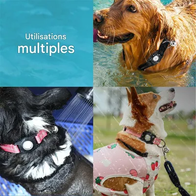 IntiMeg Collier pour Chien - Compatible Airtag Apple