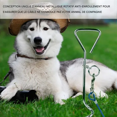 IntiMeg Piquet d'attache pour chien avec câble