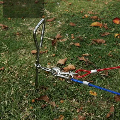 IntiMeg Piquet d'attache pour chien avec piquet