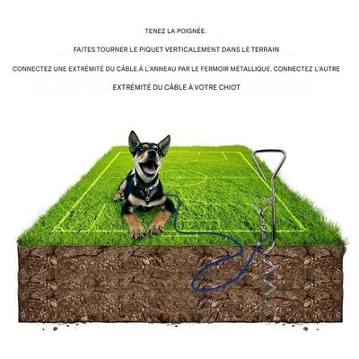 IntiMeg Piquet d'attache pour chien avec piquet