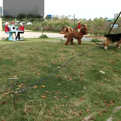 IntiMeg Piquet d'attache pour chien avec piquet