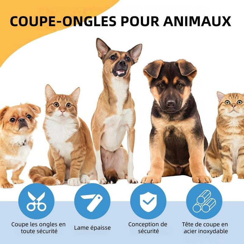 Pet Planet Ciseaux À Ongles Pour Chien Et Chat Avec Lime À Ongles