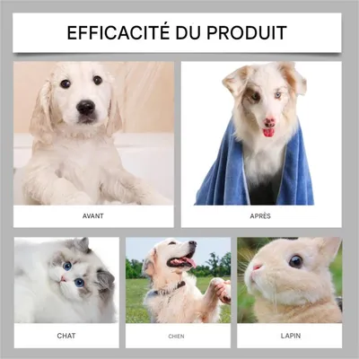 Pet Planet Serviette en microfibres pour animaux de compagnie
