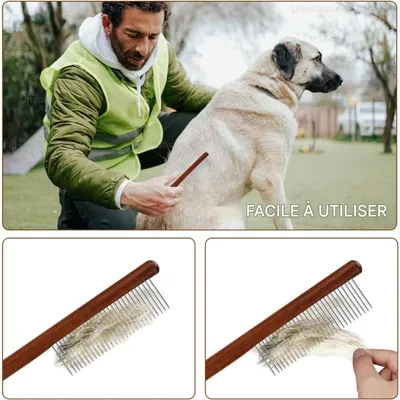 Pet Planet Lot de 3 Peignes de Toilettage Pour Chien Chat et Lapin
