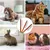 Pet Planet Lot de 3 Peignes de Toilettage Pour Chien Chat et Lapin