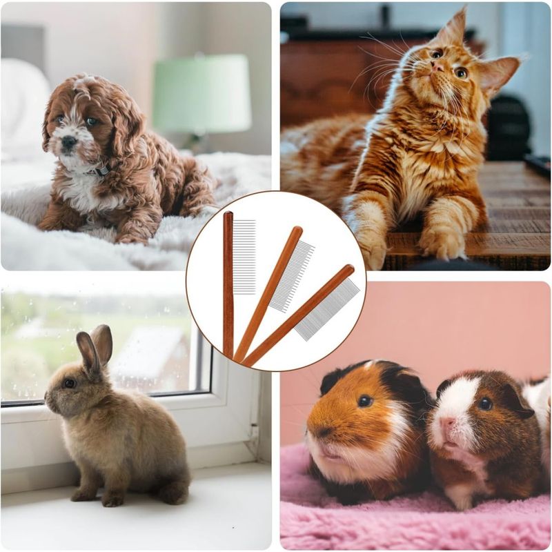 Pet Planet Lot de 3 Peignes de Toilettage Pour Chien Chat et Lapin