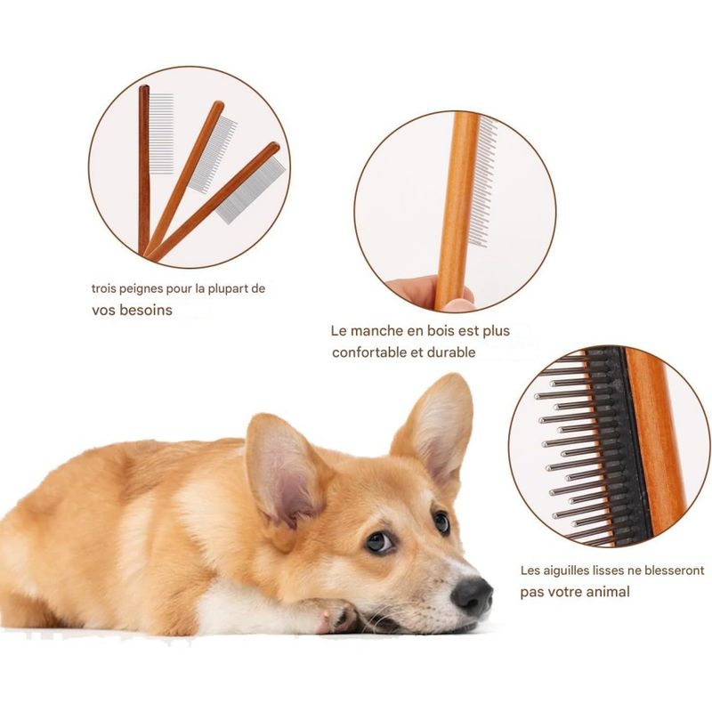 Pet Planet Lot de 3 Peignes de Toilettage Pour Chien Chat et Lapin